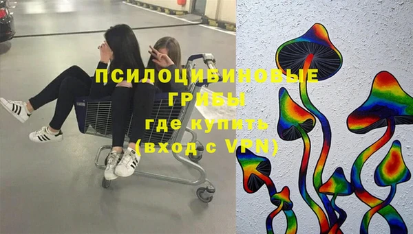 ПСИЛОЦИБИНОВЫЕ ГРИБЫ Бугульма