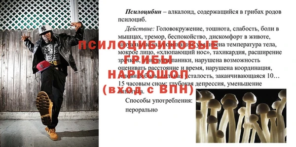 ПСИЛОЦИБИНОВЫЕ ГРИБЫ Бугульма