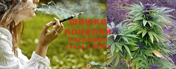 шишки Бронницы
