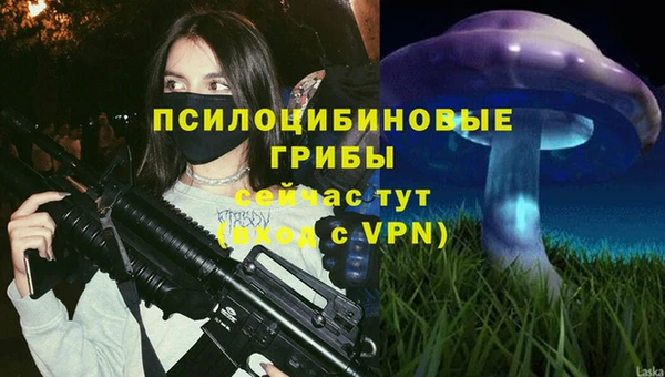 ПСИЛОЦИБИНОВЫЕ ГРИБЫ Бугульма