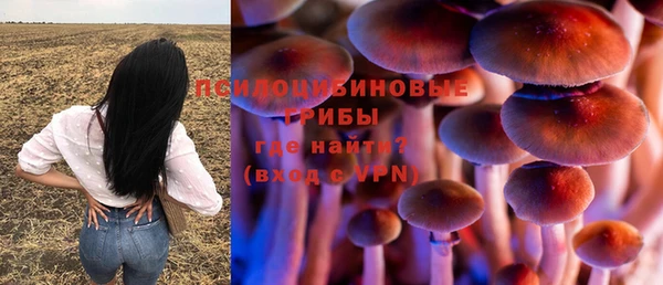 ПСИЛОЦИБИНОВЫЕ ГРИБЫ Бугульма