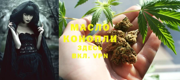 шишки Бронницы