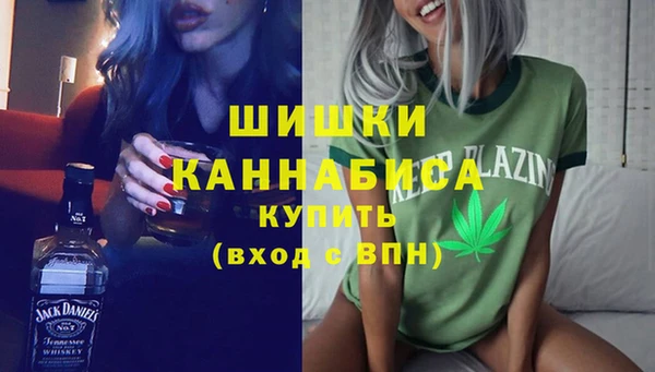 шишки Бронницы